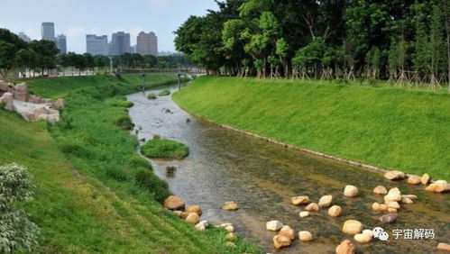 渤海灣的守望 水污染治理與跨海大橋建設(shè)背后的考量